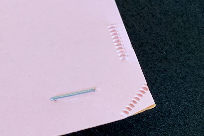 ƂpƂł܂Bł͂Ȃʉĉ