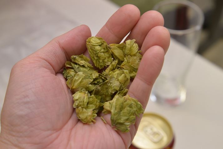 uwXubJ[zbvvBʐ^͊󏭂Ȋ^CvŁAۂɂ̓ybgɌł߂zbvgĂ܂