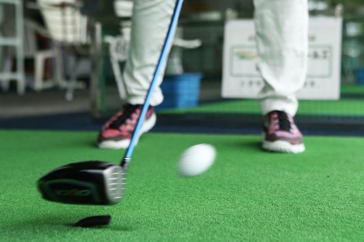 [NVI͗AłƂ̉⊴G厖ɊJĂ܂BłĂƑuȋCɂȂ܂