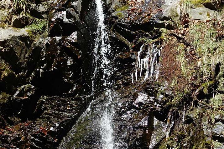 �K���s�K���A�����͖����̐��V�B�ł����̋C����2〜3�x�ƒ�߁B��̂����ꕔ�������Ă��܂���