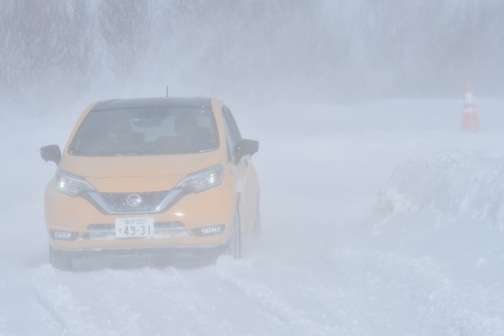 Y ㎎̓́Aʓ̎悪~ɂȂقǂ̈VɌꂽ