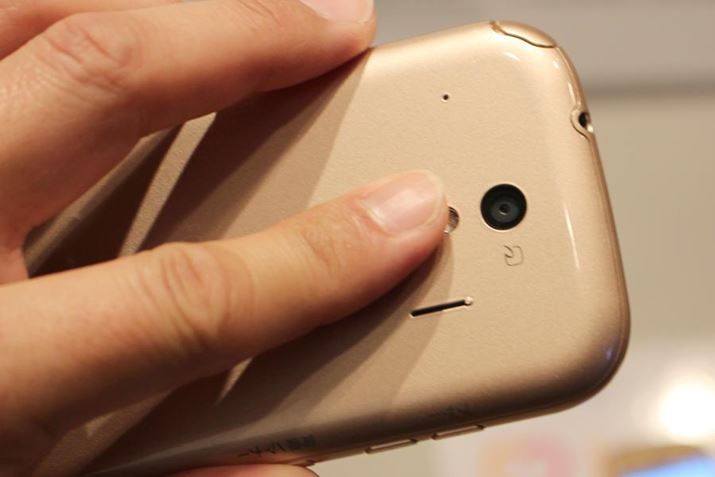 gZT[͔wʂ̃CJ̉ɔzuĂ