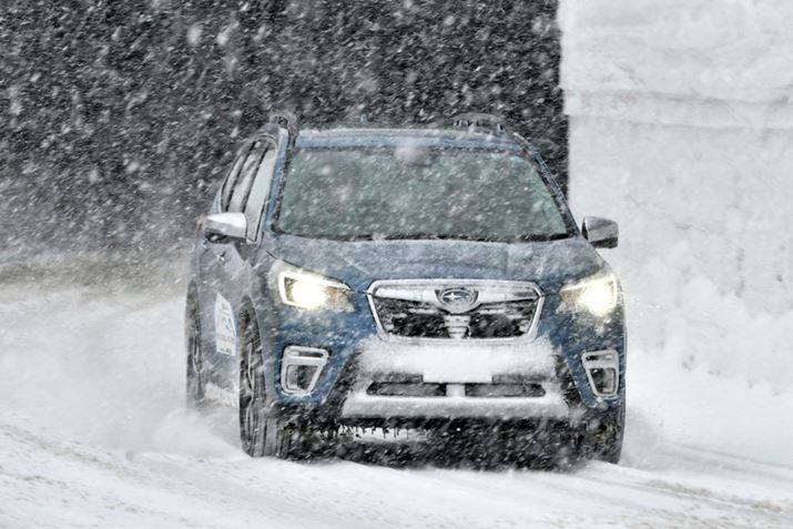 XoutHX^[ AhoXie-BOXERjv̐㎎C[W