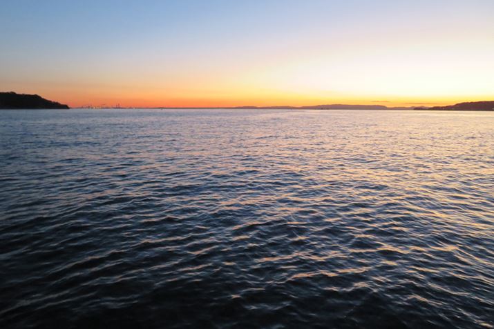 邭Ȃ̂҂Ēނn߂A1̑͌߂