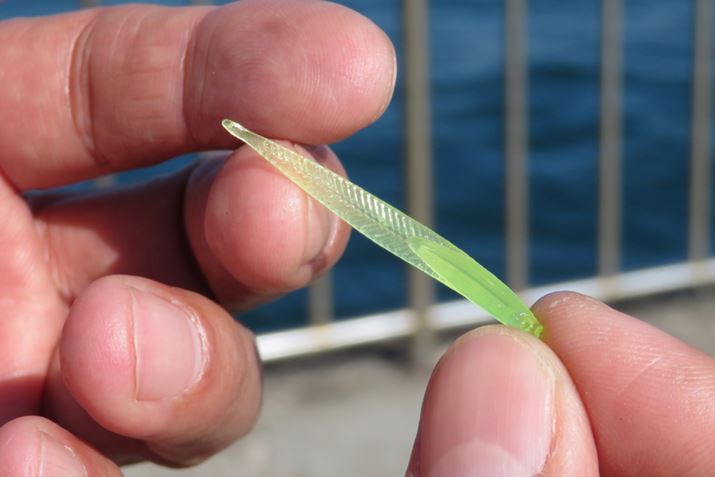 um\vɂuA[~[VbhvɂA{̂ɃXbgi؂ځjĂ