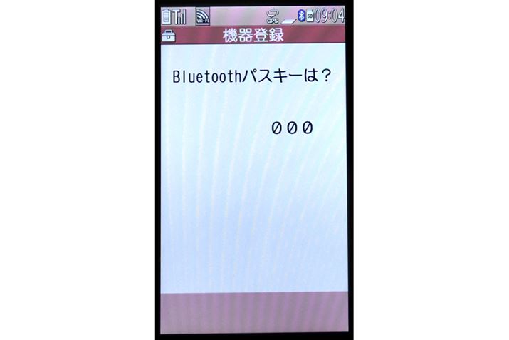 pXL[̓}jAŊmFBLĂȂꍇ́u0000vu1234vĂ݂悤