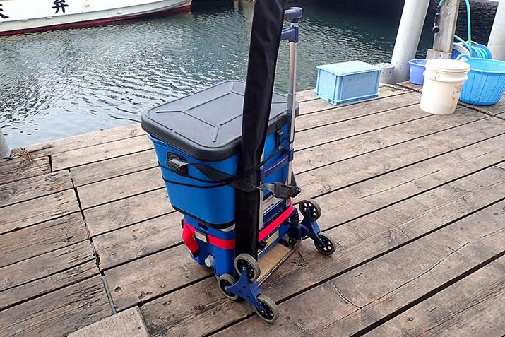 ̂Rւ̑Ԃ́Al̔Ȃǂł劈􂵂Ă܂