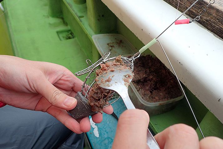 rṼJSɃCṼ~`Bꂪ񂹉aɂȂăAWĂ