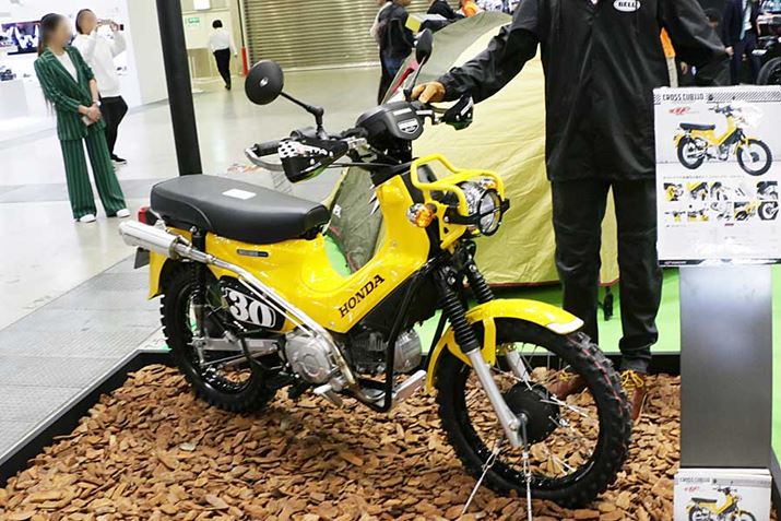 ƂƃAEghAC[W̋NXJu110{iIȖܑH悤ɃJX^}CY