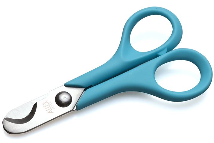 ܃Jbgɓńu܃Jbg͂SPv