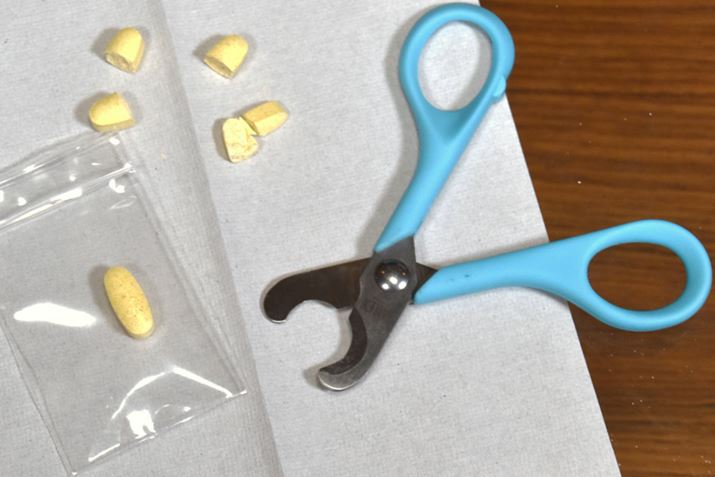 ]̃sJb^[ł͓1/4JbgA̐؂ꖡȂȂȂ