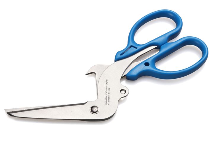 S~̕ʂɖ𗧂10@\𓋍ڂu\ʂ͂݁v