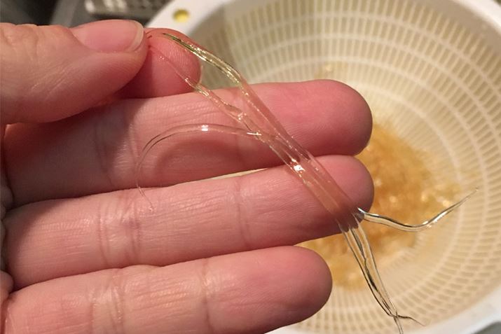 tJ݂Ȃ̂ȁH ĎvĂłẢF͂܂ɃtJqI