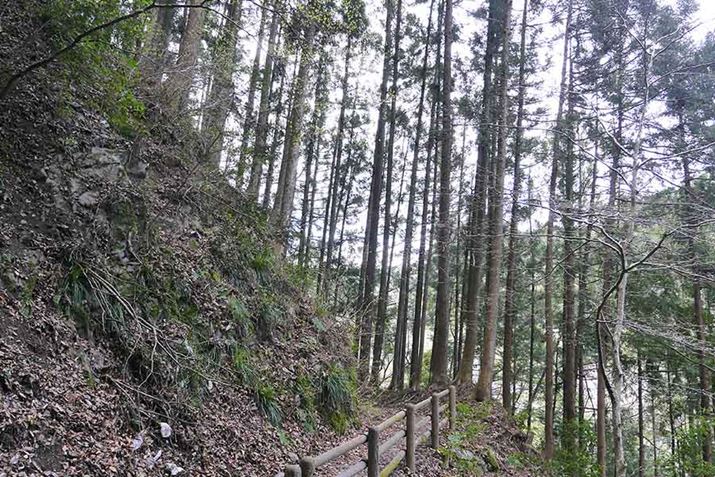 mɂƗѓɓ邾ŁAI I I