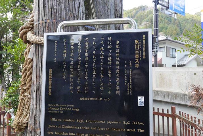 swVRLOuXO{XMvƂ̃X{X݂Ȃ̂Ă邵cc