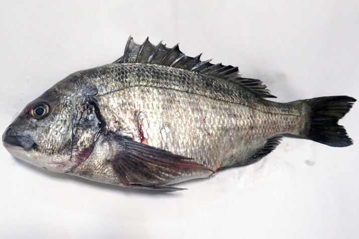 t悩~JɂāAYT啨ނ₷