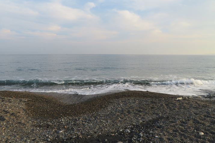 h邾łȂA삯オ̂}[T[tł啨ނ