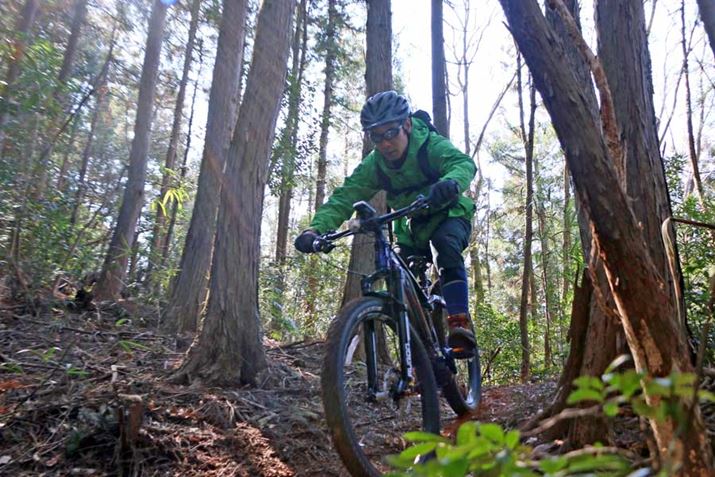 �}�ȎΖʂł��^�C������������ƘH�ʂɐH�����Ă����̂ŁA�|���炸�ɃK���K���s����