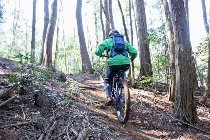 �������񂾂���o�ꂽ�̂ł́c�c�Ƃ����^�O������A�����o���ƁA�ӊO�Ɋy���ŋ�����