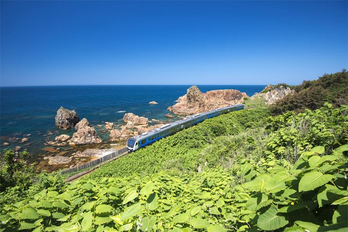 WpOył͓}Ώہiʐ^͐X|HcԂ𑖂ό}u][g炩݁vj