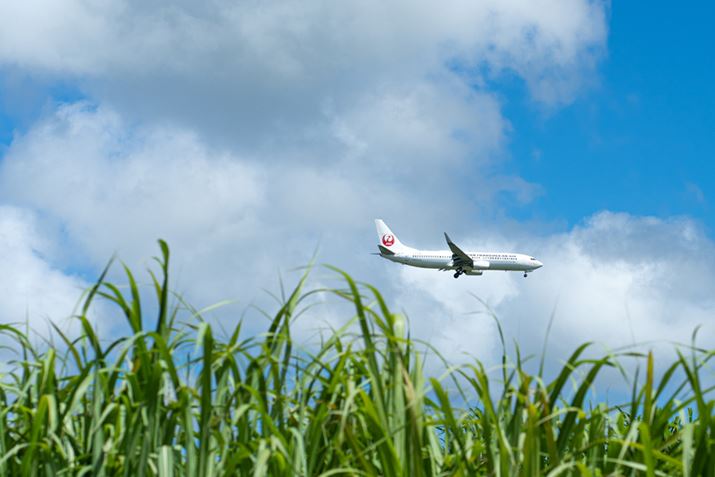 JAL̃VjA͋`ŋȂۂɗp\iʐ^͋{Ój