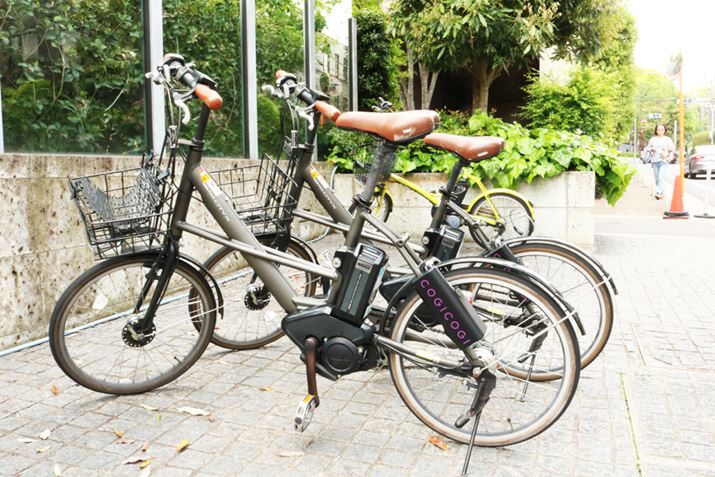 aJ̃|[gBCOGICOGI̓dAVXg]Ԃ͂Ȉۂł