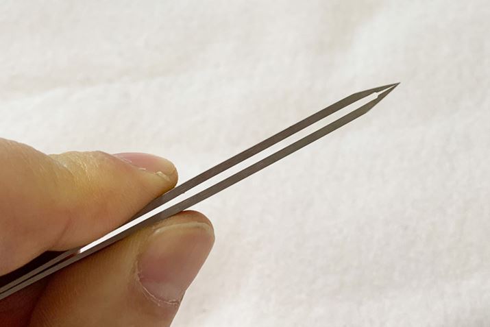 ʂł͂ȂAn̐[ŖтƂƂ炦܂