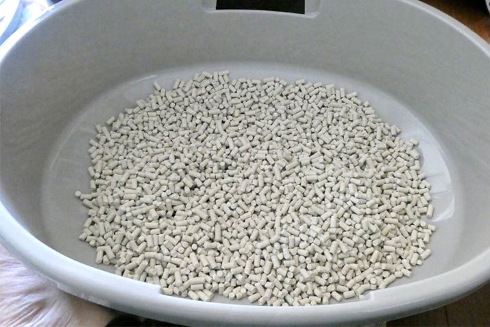 LeɔL~l߂܂B䂪Ƃł͊ƏȂ߂ftHgȂ̂ŁAꂭ炢