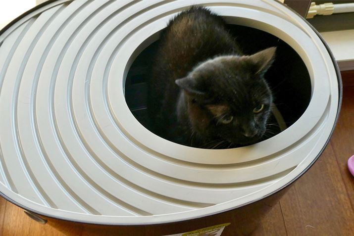 gCƔF悤łA܂ۂɗp𑫂܂ł͂܂