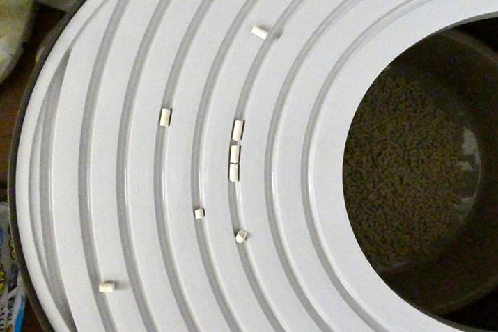 ӂ̍aɔLl܂āAgCLюÛhł܂