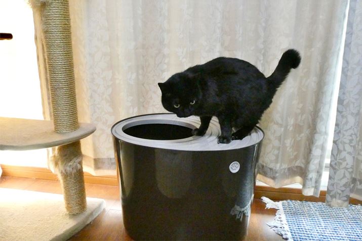 Ӗp̃gCƂĊ􂵂Ă邱Ƃ҂Ă܂