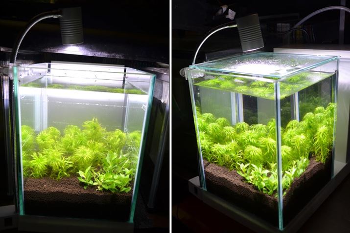 ق̐2ނ̐ڐABuAṽZX̂Ȃ͎cOȂƂłcc