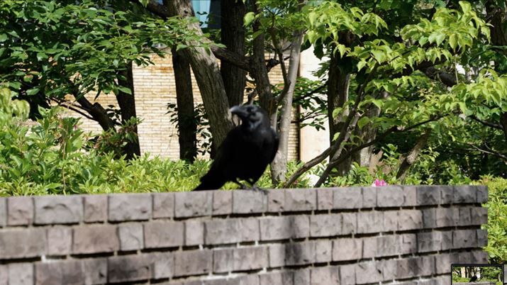 邢wiɍʑ́iJXjƂ󋵂ł́A1xtH[JXwiɔĂ܂Ă܂