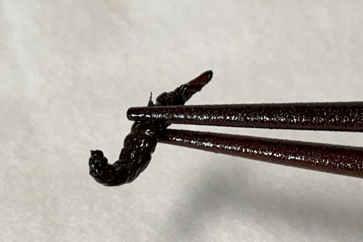 ݂߂ƁAHׂƂ̂悤ȎAꖡA݂܂AȊ͂Ȃł