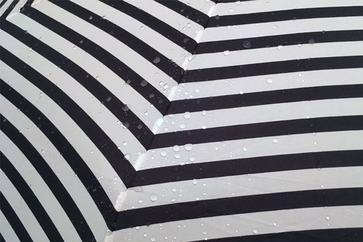 \ʂƁccɝĂ܂I H͂Ă܂