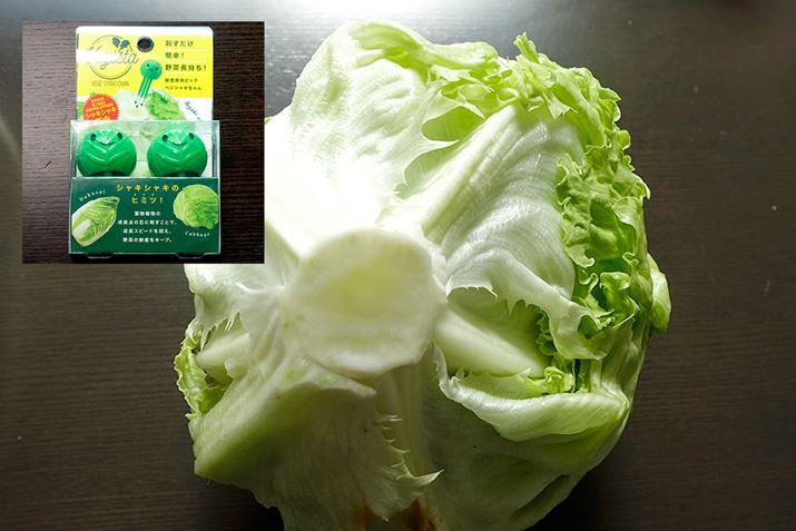 ���^�X��L���x�c�Ȃǂ̗t����؂ɂ́u�x�W�V���L�����v