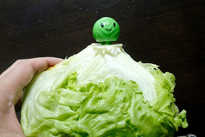 ����őN�x������������炵����ł����c�c