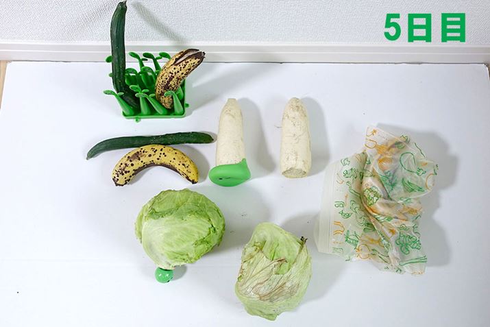 5���ځc�c�S�̓I�ɉ��炵�����͋C���Y���Ă��܂���