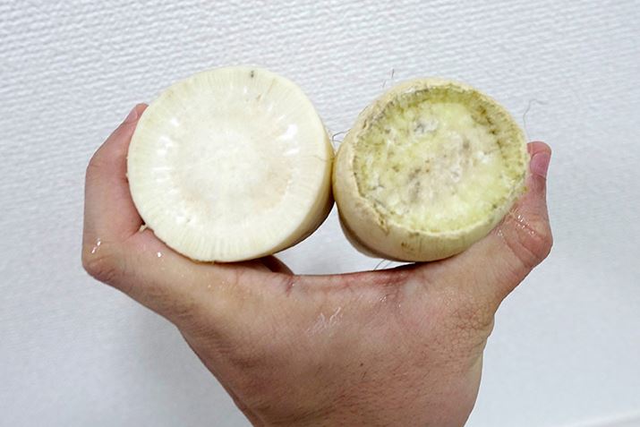 �u�_�C�����L���������v�����Ԃ����卪�͂܂��܂����C�I