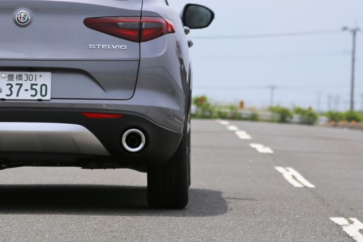 Չ͂ƂĂA[hmCYGWȂǂقƂǕȂ̂ŁAԓ̋Sn͔ɉK