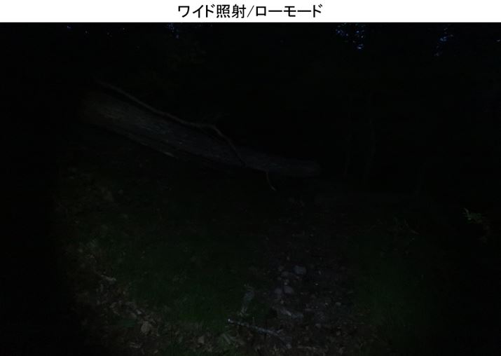 قڐ^ÂŁA߂̗lq킩ȂBł͓NĂ܂