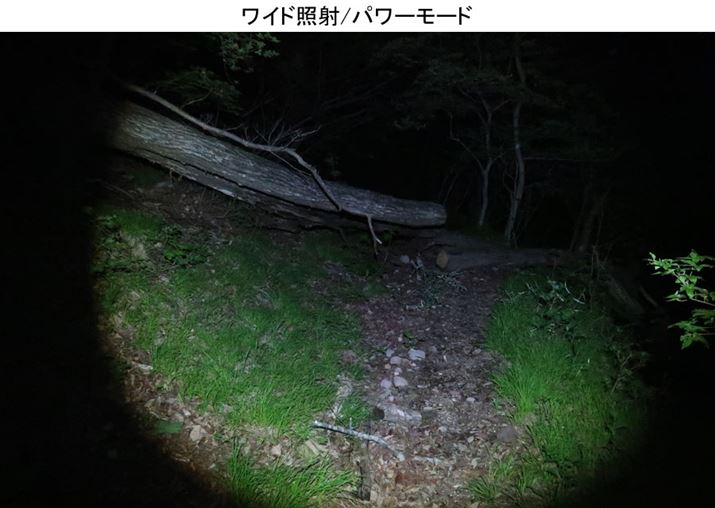 ̓oRȊO悭邪A|ؕt߂̗lq͖mł͂ȂBA傫Ȗ͂Ȃ