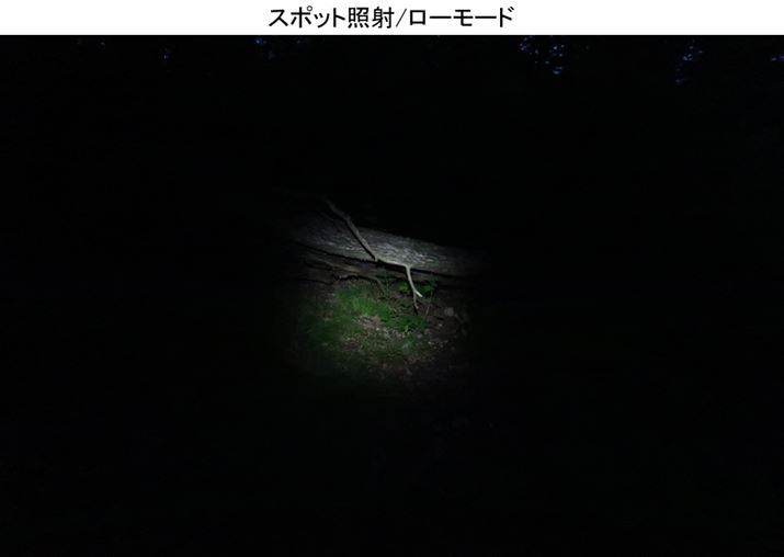 |؂̕t߂炩Ƃ͂AȊȌꏊ͂قƂǊmFłȂBs͍ł