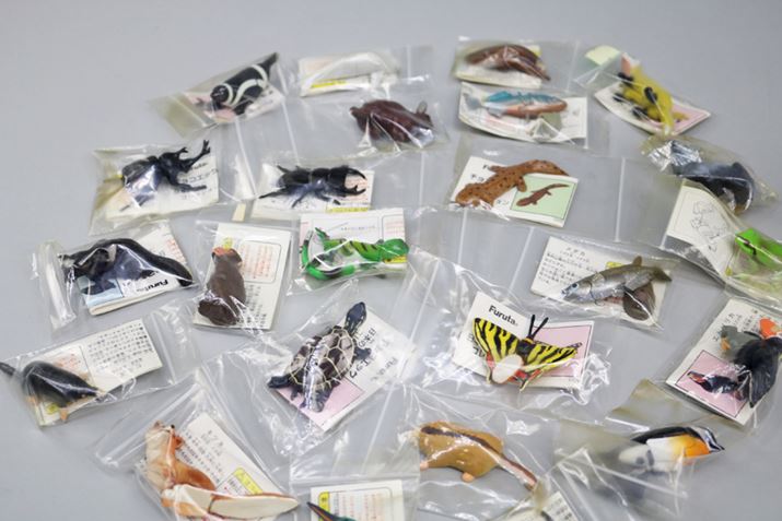 Ȃ̐H߁A`RGbÔ܂̑1eBCmvf[Xij̐IȓtBMA͘bɂȂ܂