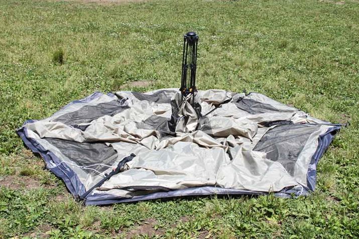 eg̃|[A܂肽ݎP̍L悤ȊōL܂