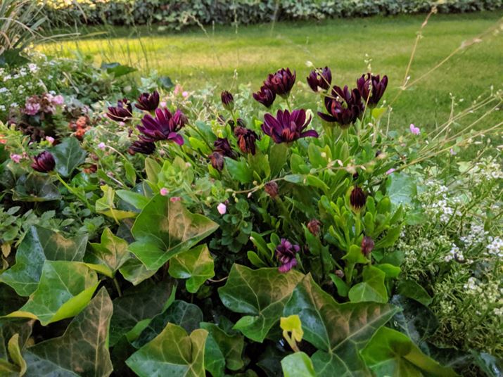 ڂ̢i[hgĖ̐A͂ڎʁBł͑Â󋵂AȂNɉfĂ