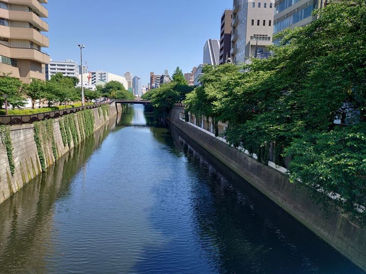 ̕iBeB΂݂̗΂̔F⎿ǍD