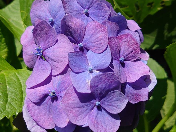 \}]JŎBeB\}ςɒ炪LAfBe[ʂĂ