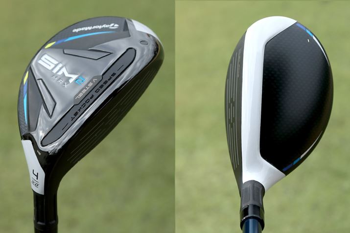 ܂}AAX[g₳Ɗc{i̍f