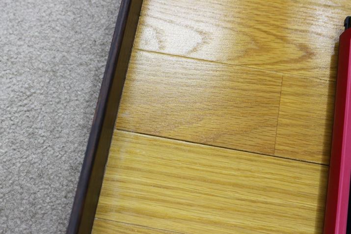 1̑|@ŁAS~LCɎ܂Bǂɂt[O̍aɂ܂cĂ܂